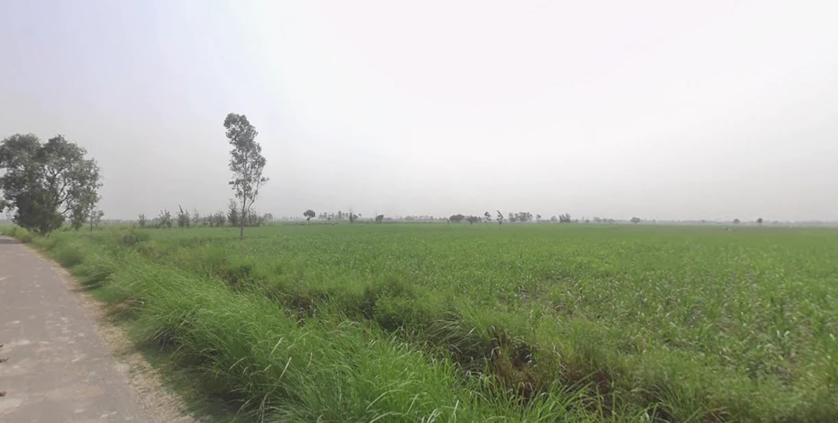 Khilwai, Uttar Pradesh 245205, India preview 3