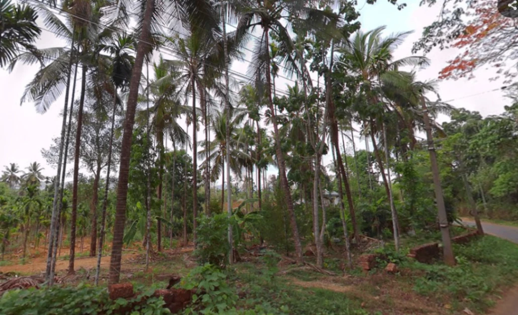 Bhagamandala, Karnataka 571247, India