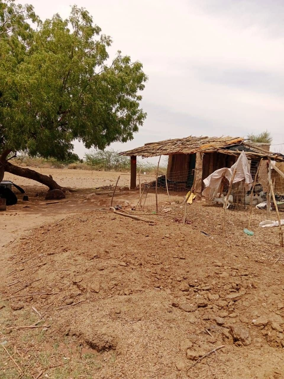 Godarli, Rajasthan 342301, India preview 3