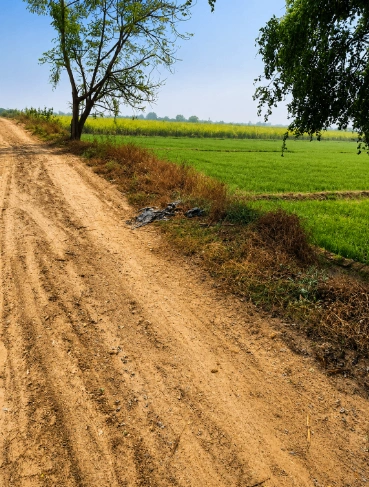 Lakhan Majra, Rohtak, Haryana 124514, India