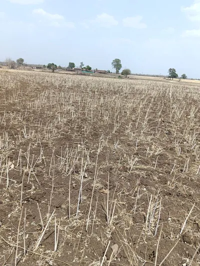 Madhugiri, Karnataka 572132, India preview 2