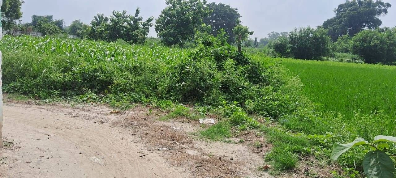 Bathain Kalan, Mathura, Uttar Pradesh 281403, India