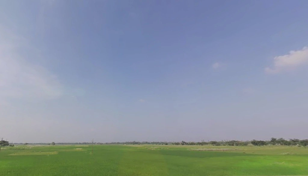 Bihari Bigha, Bihar 803214, India