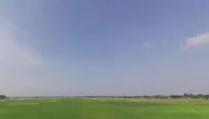 Bihari Bigha, Bihar 803214, India preview 3