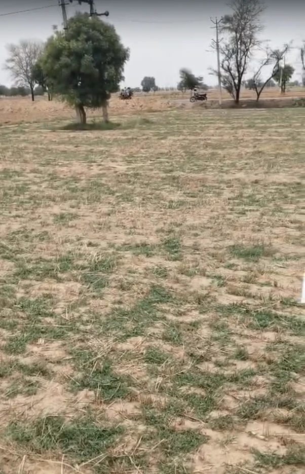 GW9V+MF Marakpur, Rajasthan, India