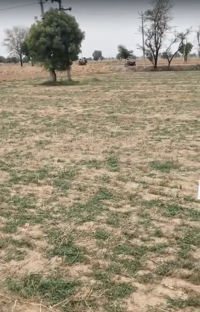 GW9V+MF Marakpur, Rajasthan, India preview 2