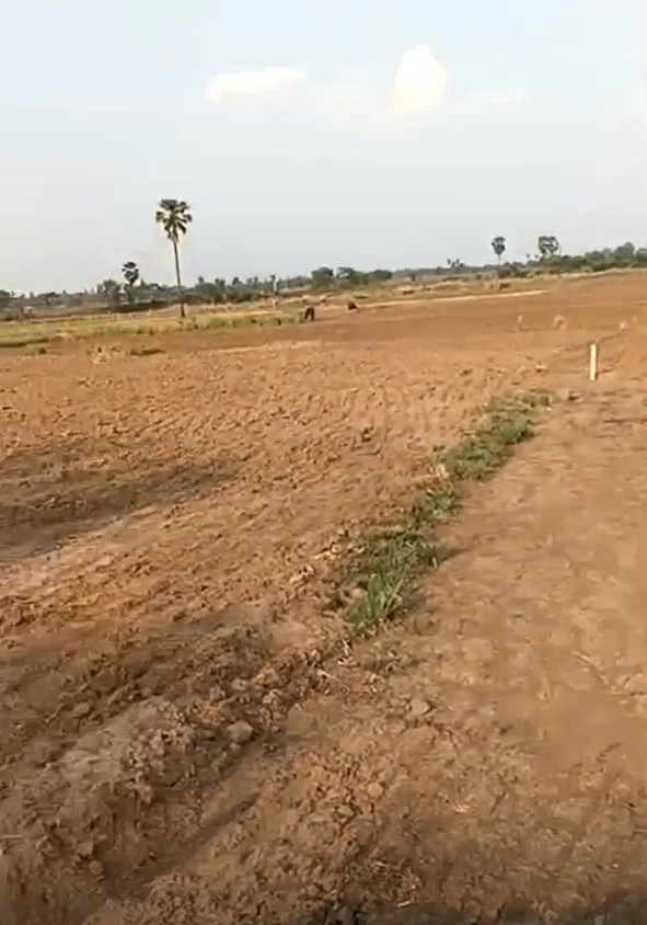 Khamtarai, Raipur, Chhattisgarh, India
