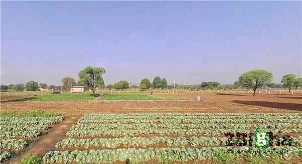 Jatwara, Rajasthan 321609, India
