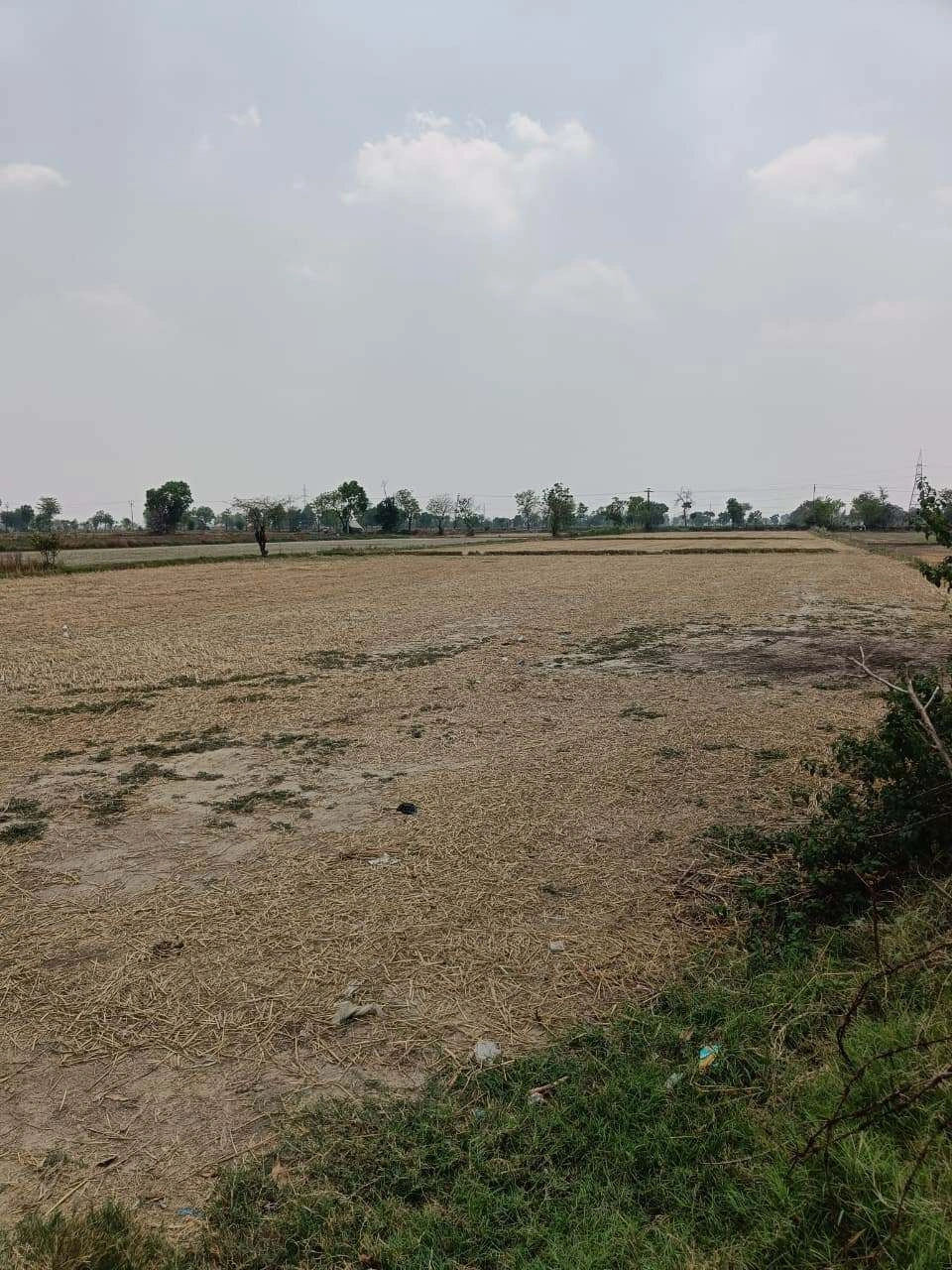 Kanwarpura, Kota, Rajasthan, India