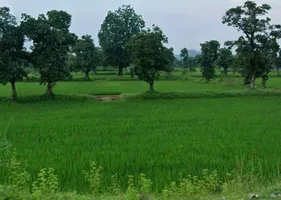 Kurud, Chhattisgarh 493663, India preview 3