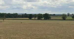 Sojna, Madhya Pradesh, India preview 2