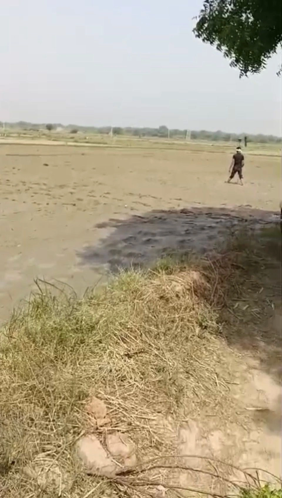 Anupshahar Khadar, Anupshahr, Bulandshahr, Uttar Pradesh, India preview 3