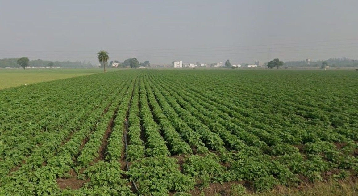 Budhni, Madhya Pradesh 466445, India preview 2