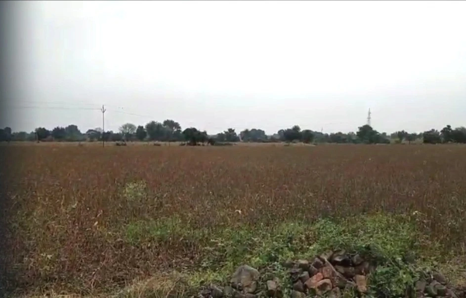 G64H+XGQ, Gudradiya, Madhya Pradesh 465001, India