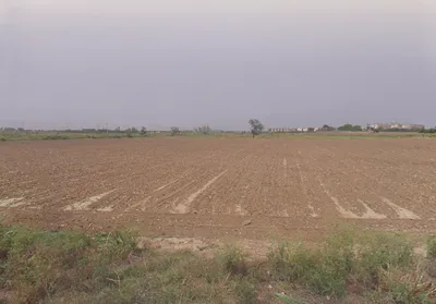 5843+2P4, Palwalrural, Haryana 121102, India preview 3