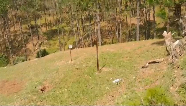 Vikasnagar, Dehradun, Uttarakhand, India
