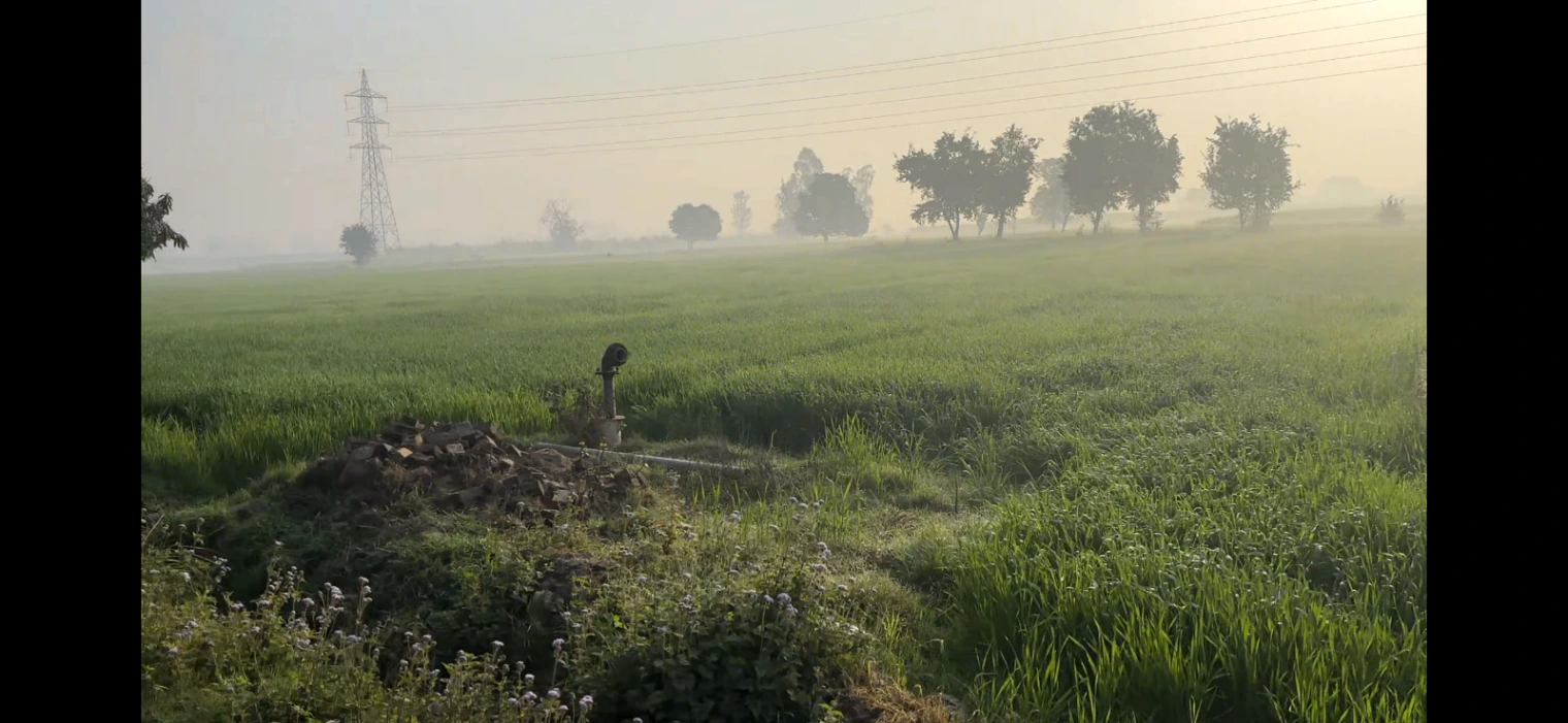 Doula, Uttar Pradesh, India