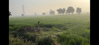Doula, Uttar Pradesh, India preview 2