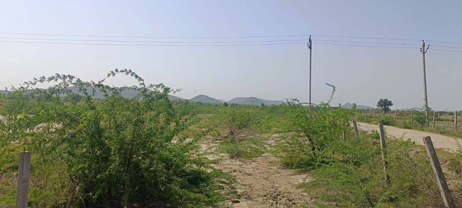 7V9H+4X Baroni, Tonk, Rajasthan, India