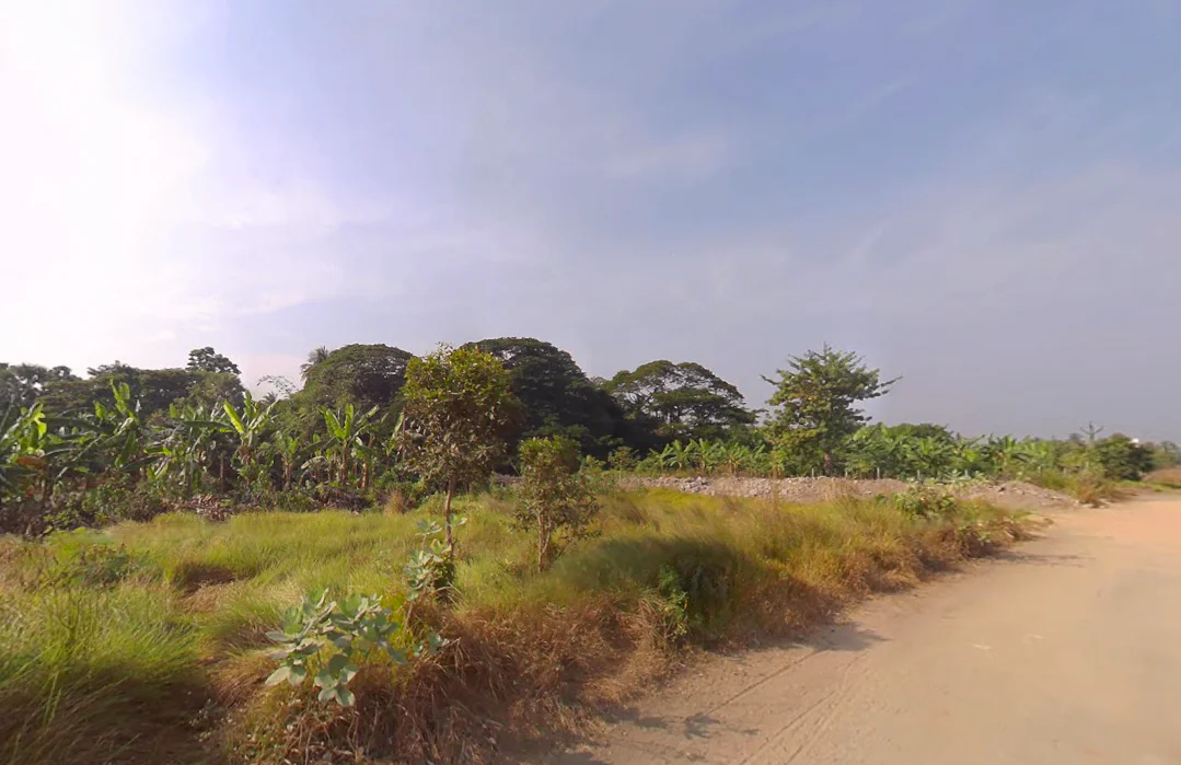 Action Area II, Newtown, New Town, West Bengal, India preview 2