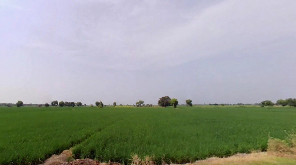 Farmana, Haryana 131408, India