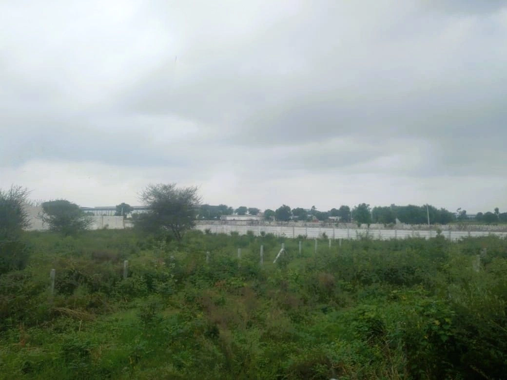Farukh Nagar, Haryana 122506, India