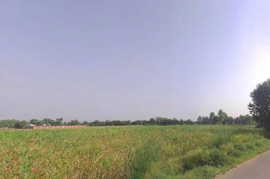 Langarwas, Rajasthan 301405, India
