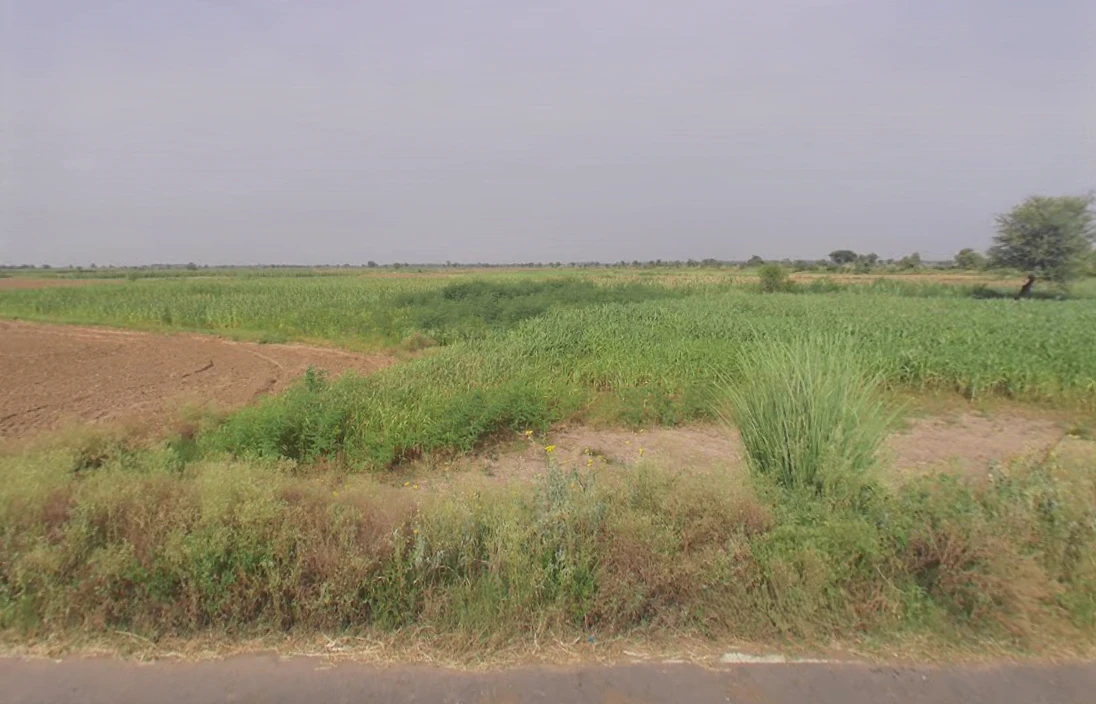 Nangal Mubarikpur, Haryana 122108, India