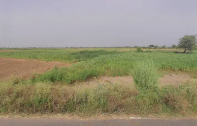 Nangal Mubarikpur, Haryana 122108, India preview 2