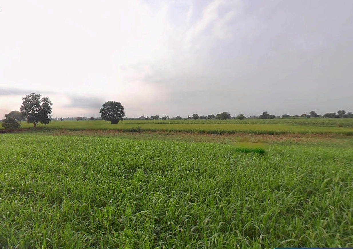 Bhitha Dharampur, Bihar 843320, India