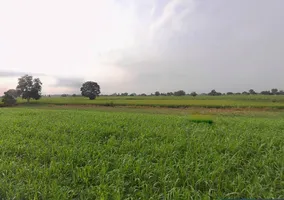 Bhitha Dharampur, Bihar 843320, India preview 2