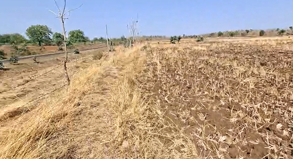 Dabra, Madhya Pradesh 475110, India