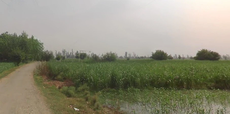 Murlipur, Uttar Pradesh 250004, India