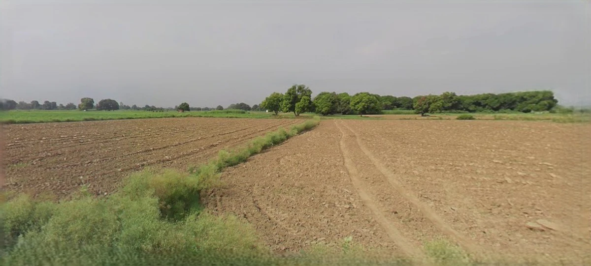 Jhajjar, Haryana 124103, India