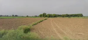 Jhajjar, Haryana 124103, India preview 2