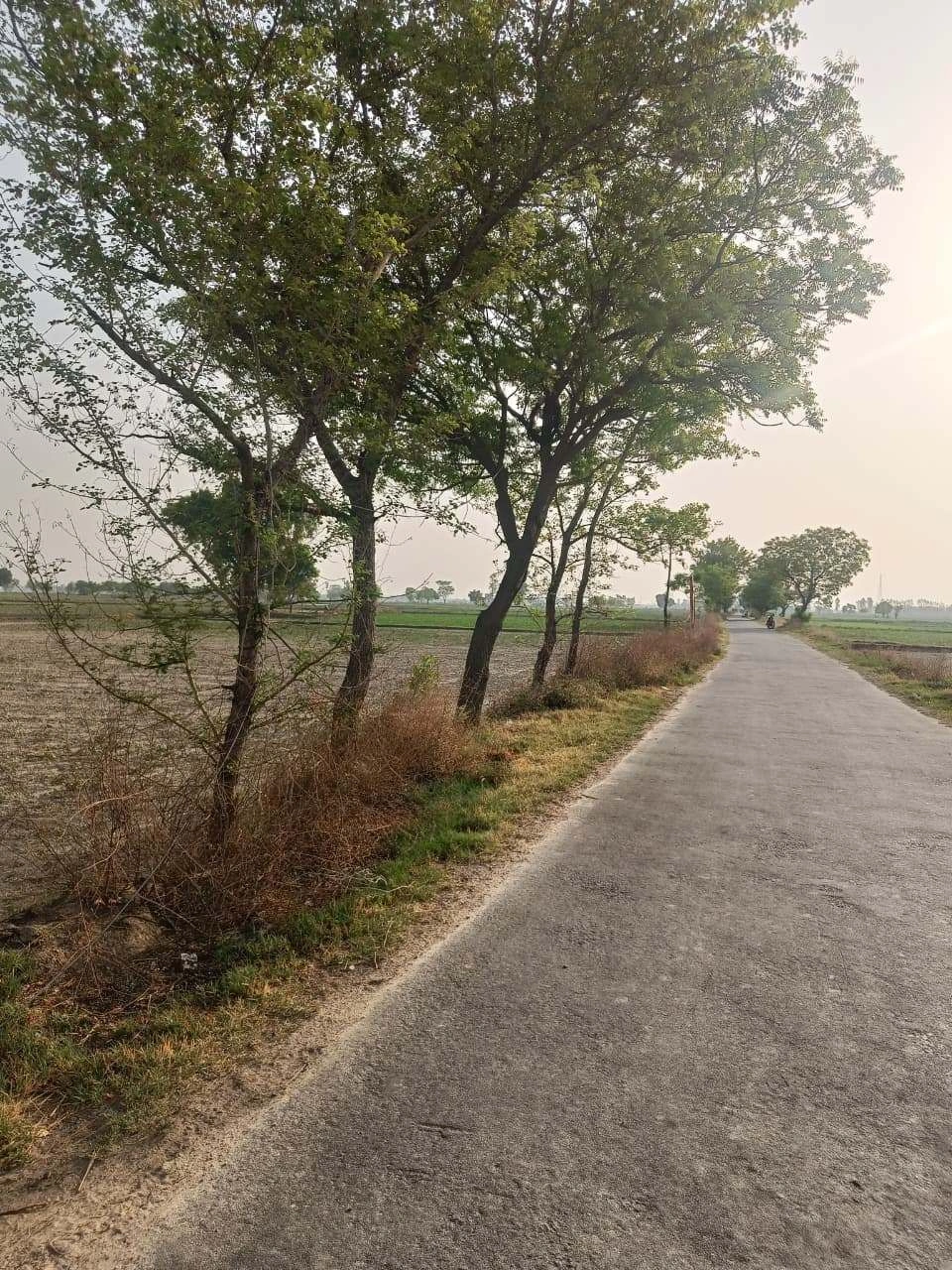 Karchana, Prayagraj, Uttar Pradesh 212301, India preview 2