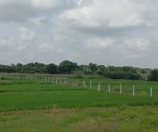 W36J+MXX, Mahabubnagar, Kuthnepalle, Telangana 509340, India