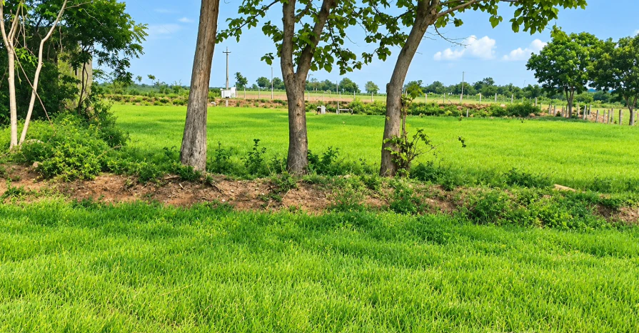 HR94+442, Yadadri Bhuvanagiri, Telangana 508117, India