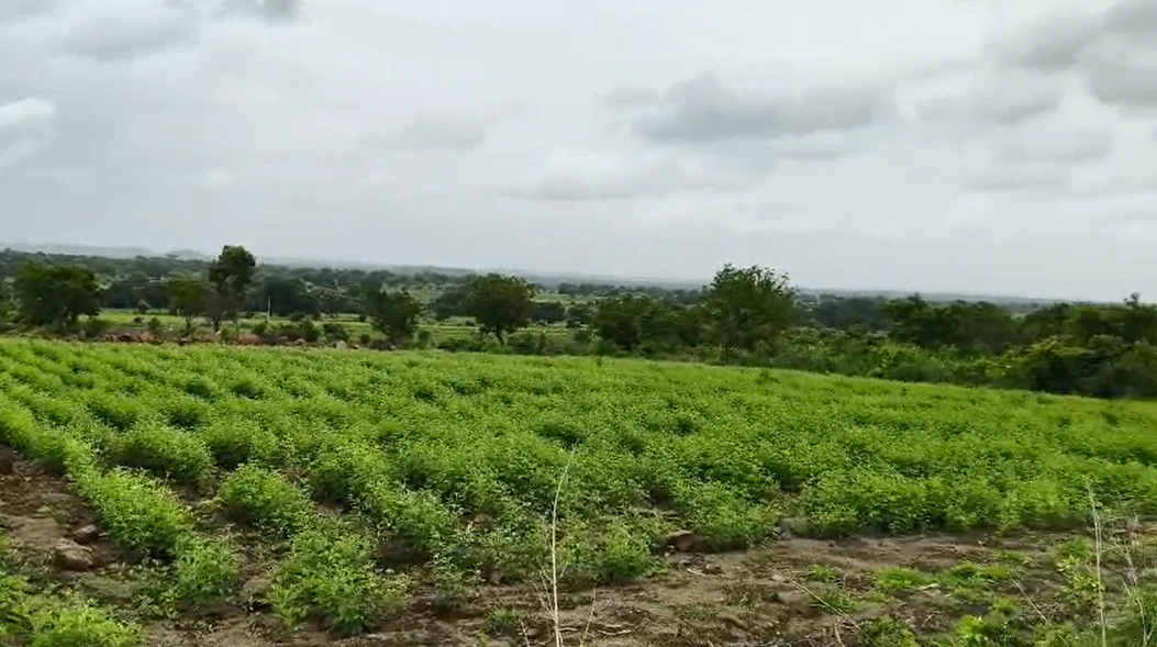 2GXG+86J, Vikarabad, Main Rd, Ravulpally, Telangana 509336, India