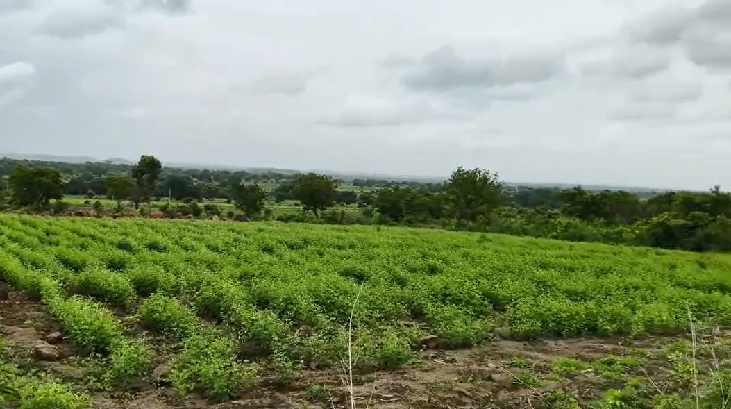 2GXG+86J, Vikarabad, Main Rd, Ravulpally, Telangana 509336, India