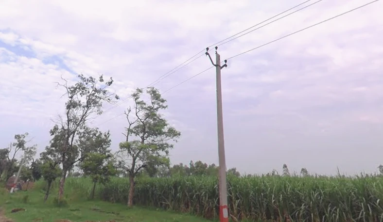 Hastinapur Rd, Gajrauli, Uttar Pradesh, India