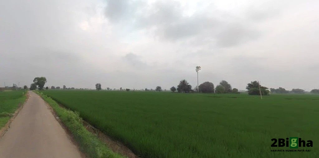 Chabal Rd, Indra Colony, Amritsar, Punjab, India