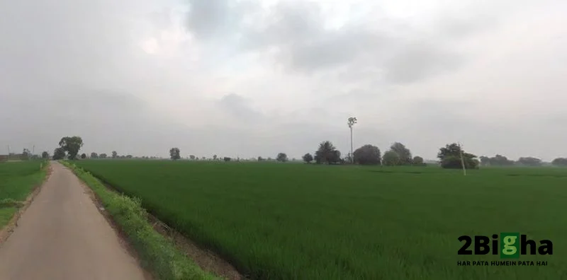 Chabal Rd, Indra Colony, Amritsar, Punjab, India preview 3