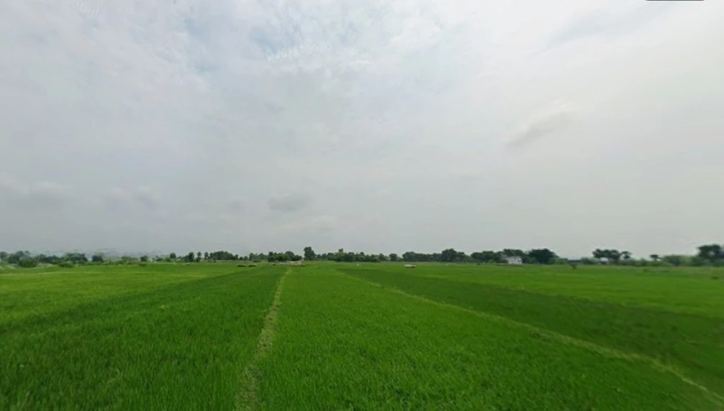 Makhdumpur, Bihar 804422, India