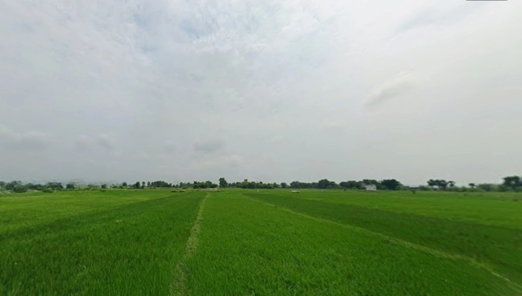 Makhdumpur, Bihar 804422, India