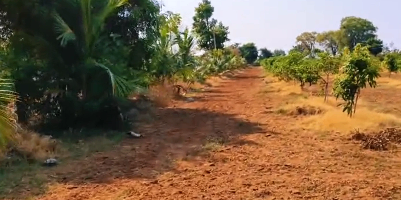 RP2J+52 Angadi Kistapur, Siddipet, Telangana, India - Photo 2