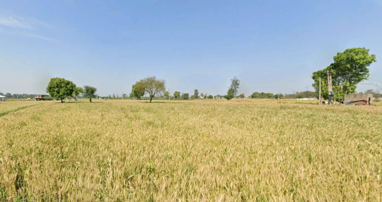 Sohna, Haryana 122103, India