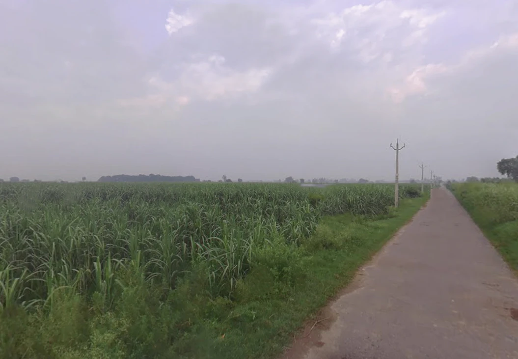 Mirpur, Uttar Pradesh 250502, India