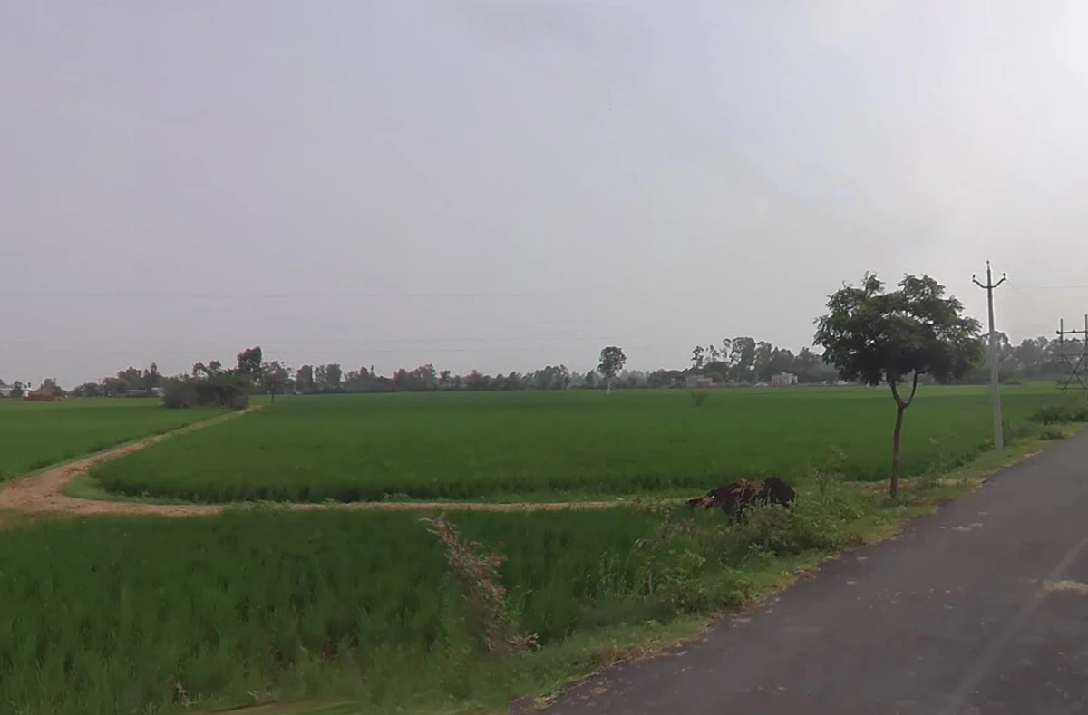 Mandkola, Haryana 121103, India