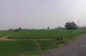 Mandkola, Haryana 121103, India preview 3